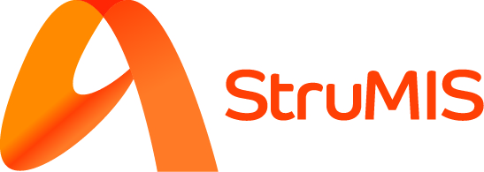StruMIS Company Name